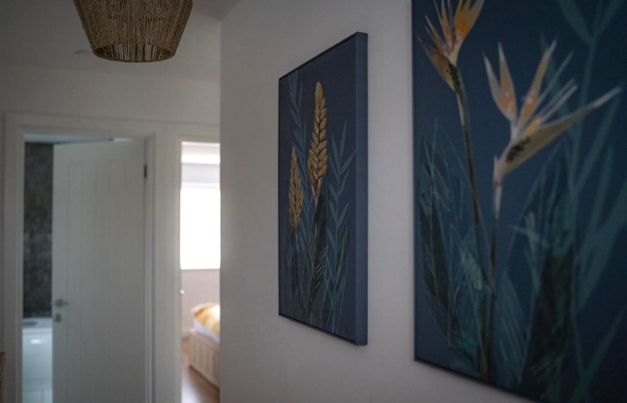 The Red House Modern Stylish Home From Home Walking Distance To Cardiff Bay And City Centre With Parking Екстер'єр фото